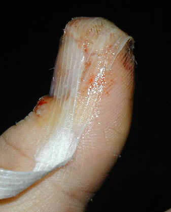 thumb001.jpg