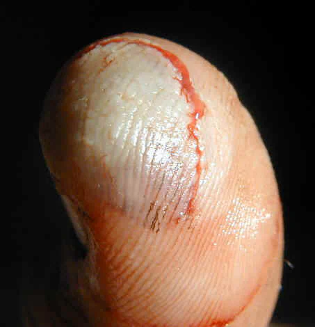 thumb002.jpg